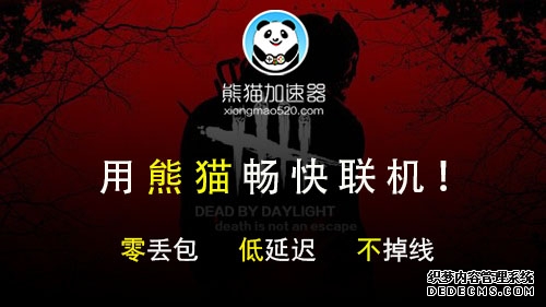夯实数字化发展的“网络底座”